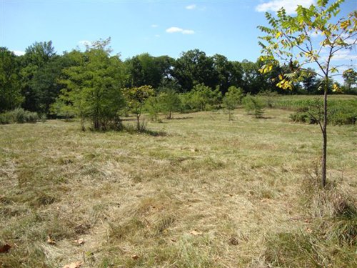 Property photo 1 - 75.5 Acres Offered in 5 Tracts
